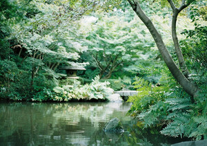 池田山公園は自然豊かな五反田のパワースポット！アクセス・駐車場は？