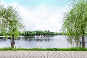 大濠公園（福岡）は自然豊かな癒しスポット！遊具・ボートで楽しもう！