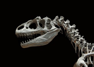 群馬県立自然史博物館まとめ！大迫力の恐竜の展示や入場料金にお土産情報も紹介！