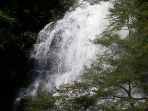 苗名滝は妙高の名瀑と呼ばれる人気スポット！行き方や見どころも紹介！