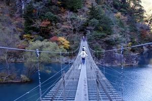 塩郷の吊り橋（恋金橋）はスリル満点！見どころやSLの営業時間・アクセスは？