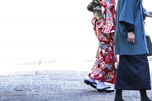 菊田神社は月替りの限定御朱印が人気！狛犬など見どころもご紹介！
