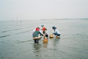 【2020年】潮干狩りを神奈川でするならココ！期間や料金も詳しく解説！