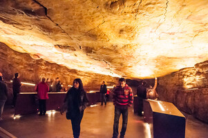 【スペイン】ピカソも認めた世界遺産「アルタミラ洞窟」とは？観光方法も紹介！
