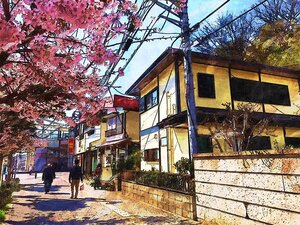 ホテルニューカマクラは鎌倉で人気のレトロなお宿！宿泊料金や予約方法は？