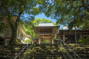志賀海神社は福岡のおすすめパワースポット！龍の都で釣行安全を祈願！
