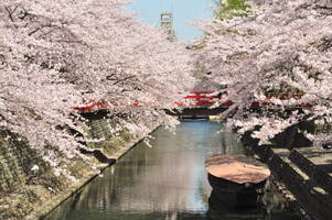 大垣市は歴史あふれる水の都！おすすめの名所と名物をたっぷり紹介！