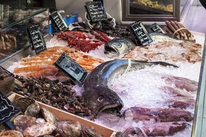 旬のお魚が美味しいと評判！酒田の「さかた海鮮市場」の人気の秘密を解説！