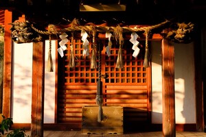 菊名神社（横浜）で御朱印をGET！限定のものや「がまんさま」などの見どころも