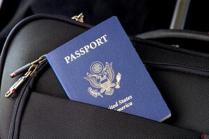 パスポートケースおすすめ21選！機能性が高い人気アイテムをご紹介！