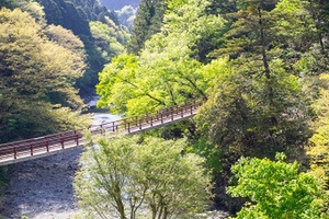 あきる野市のおすすめ観光名所21選！自然いっぱいの人気スポットを紹介！