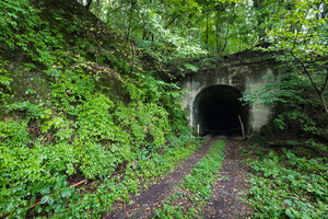【静岡】旧本坂トンネルの心霊スポットを徹底解説！驚愕な噂や事件とは？
