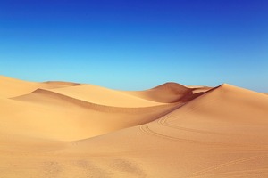 日本一の砂丘「猿ヶ森砂丘」が立ち入り禁止な理由とは？観光情報や口コミも紹介