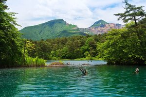 札幌「西岡水源地」は野鳥・ホタルなど自然を楽しめる！心霊スポットでも有名？