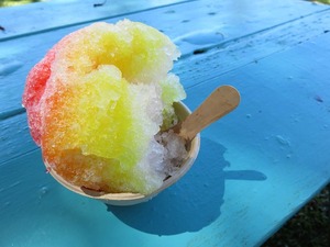 【夏季限定】モリチクは熊本のインスタ映えかき氷店！人気メニュー＆値段も紹介♪
