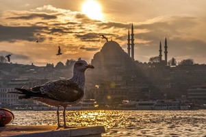 トルコのおすすめ観光地23選！有名世界遺産やイスタンブールなどの名所ガイド◎